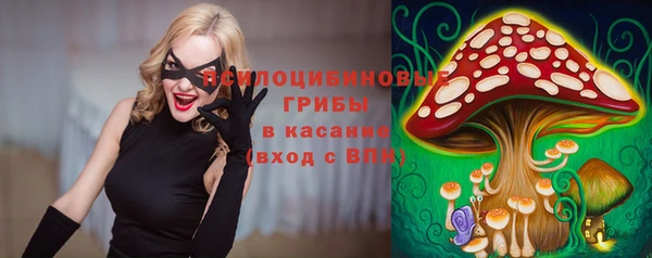 круглые Алзамай