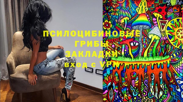 первитин Алексин