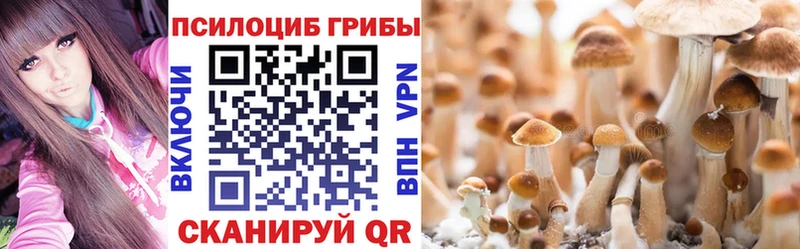 Галлюциногенные грибы Cubensis  даркнет как зайти  Алушта 