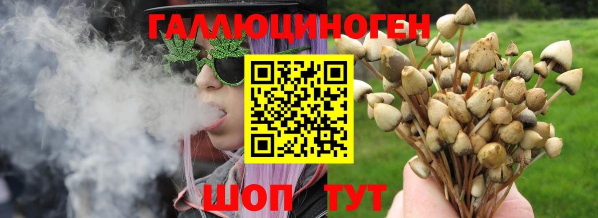 Псилоцибиновые грибы MAGIC MUSHROOMS  Вход с VPN  Алушта 